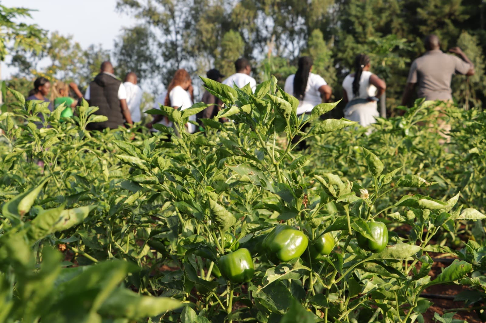 A group of smiling community members working together on a project.